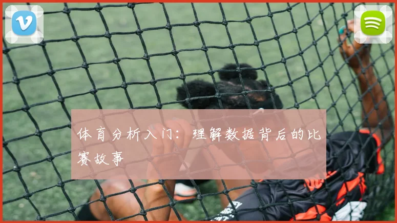 体育分析入门：理解数据背后的比赛故事