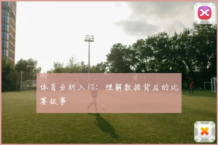 体育分析入门:理解数据背后的比赛故事